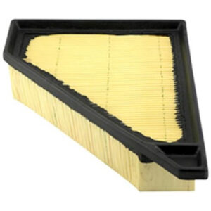 Hastings AF1423 Air Filter (Replaces Wix 49901, Baldwin PA4430, Fram CA10834)