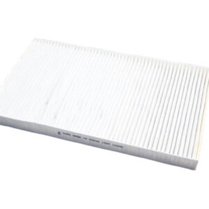 Hastings AF2426 Air Filter (Replaces Fram PA10184, Luber-Finer CAF24005, Wix 24316)