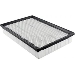 Hastings AF878 Air Filter (Replaces Baldwin PA2152, Fram DA5056, Wix 46134)
