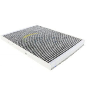 Hastings AFC1203 Air Filter (Replaces Wix 24864, Luber-Finer CAF7749)