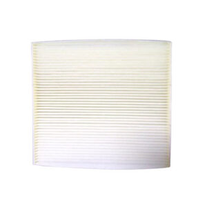 Hastings AFC1239 Air Filter (Replaces Wix 24882XP, Baldwin PA4317, Fram CF10361)