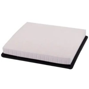 Napa 200254 Gold Engine Air Filter(Genuine)