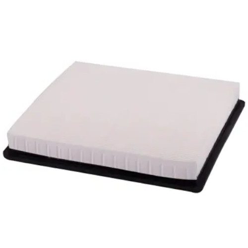 Napa 200254 Gold Engine Air Filter(Genuine)