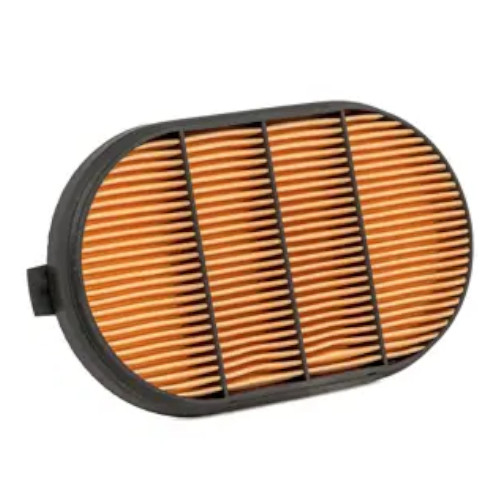 Napa 9560 Gold Engine Air Filter(Genuine)