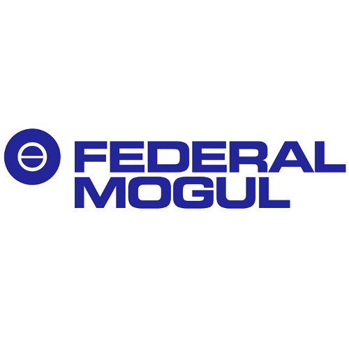 Federal Mogul 700107 Wire Set (Genuine)